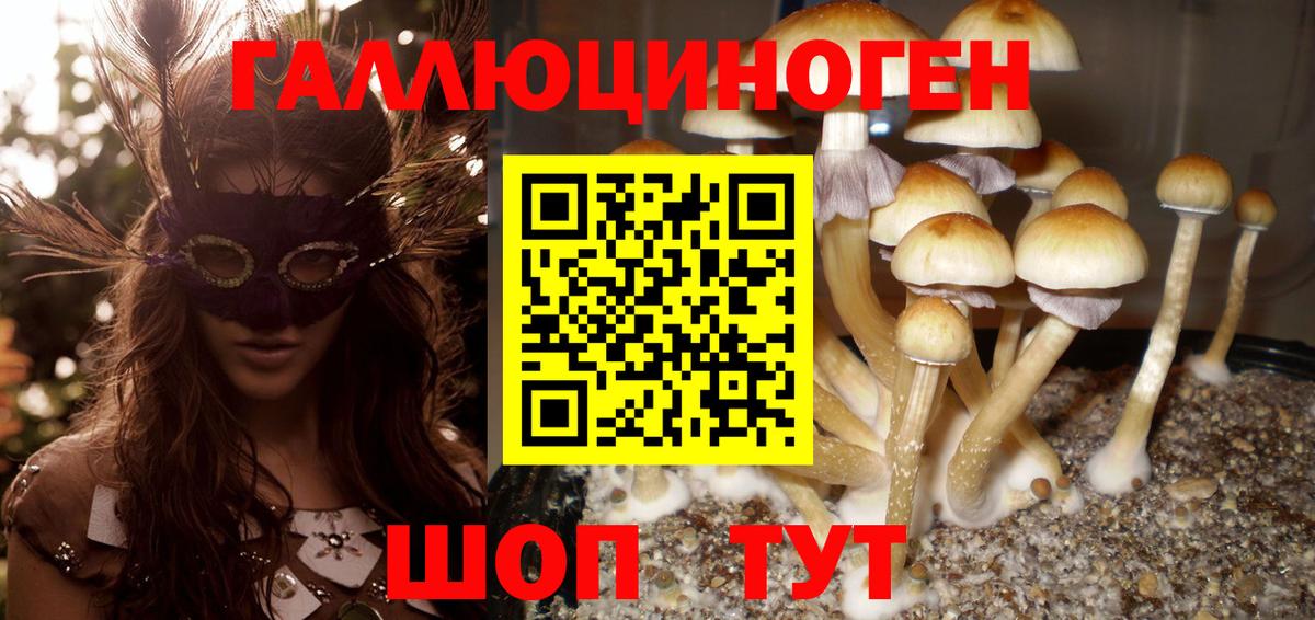 Усть-Илимск  Псилоцибиновые грибы Magic Shrooms  Вход с VPN  Псилоцибиновые грибы Psilocybine cubensis 
